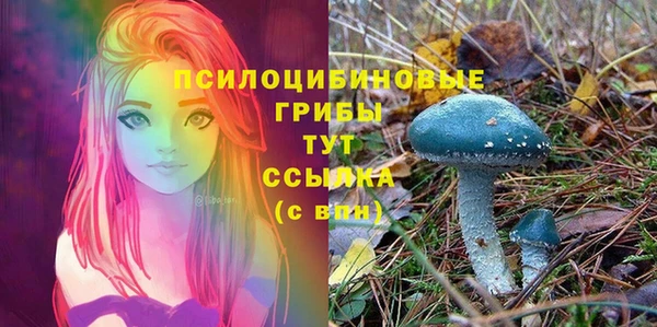 винт Алзамай