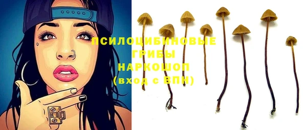 винт Алзамай