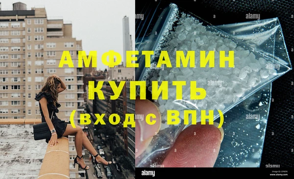 прущие грибы Покачи
