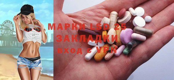 винт Алзамай