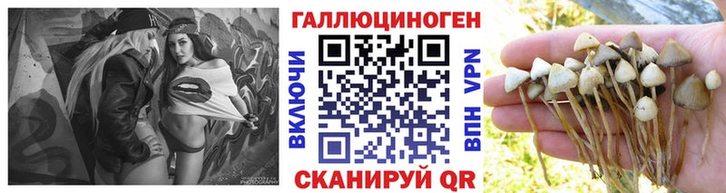 Галлюциногенные грибы Cubensis Карабаш