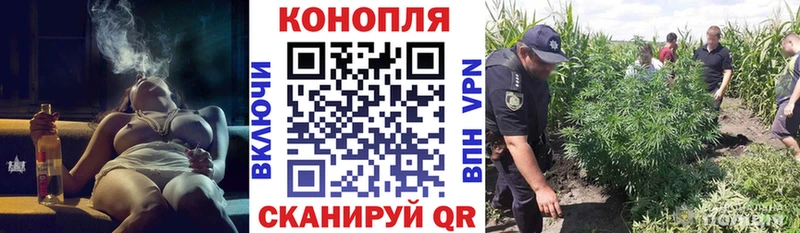 как найти наркотики  Карабаш  Канабис Bruce Banner 